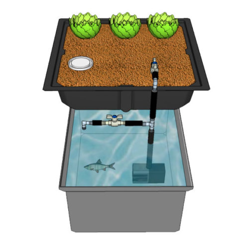 一个培养基床和一个带管道系统的鱼缸的sketchup效果图