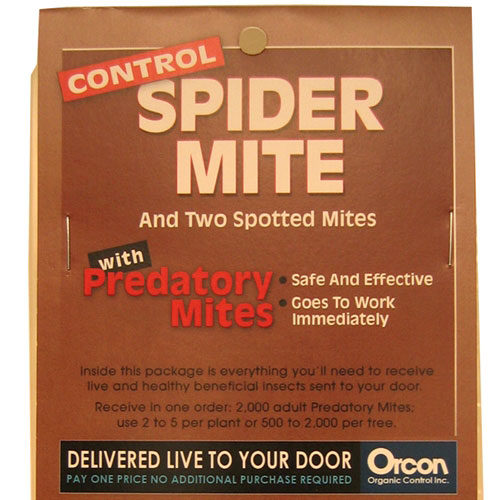 控制蜘蛛螨虫的邮件背部表单的棕色包装照片